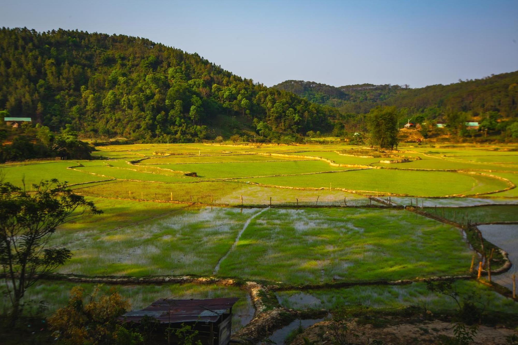 Nha Trong Ban - Homestay Mang Den Kon Von Kla Luaran gambar