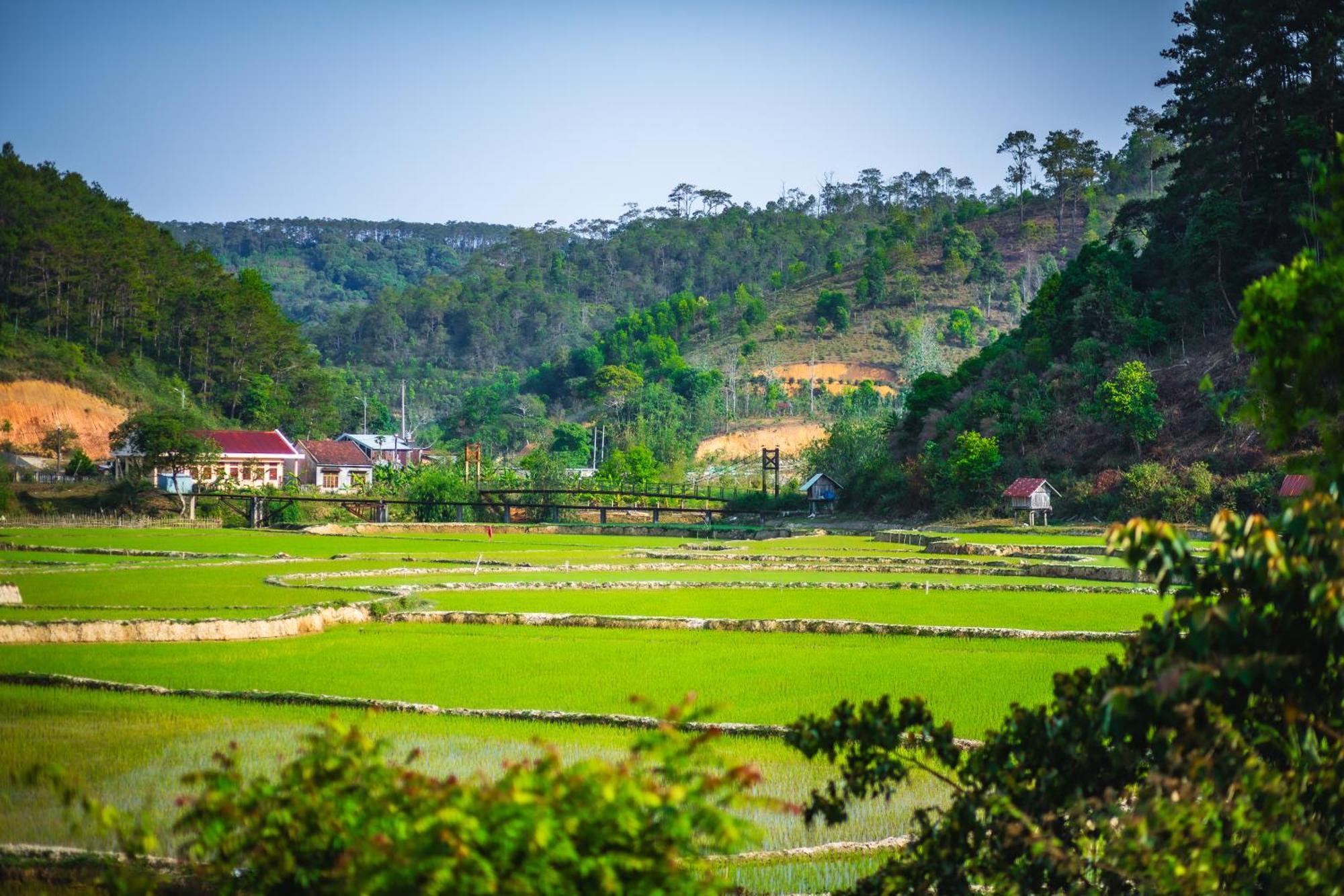Nha Trong Ban - Homestay Mang Den Kon Von Kla Luaran gambar