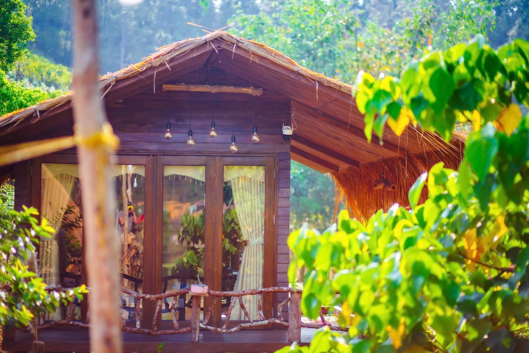 Nha Trong Ban - Homestay Mang Den Kon Von Kla Luaran gambar